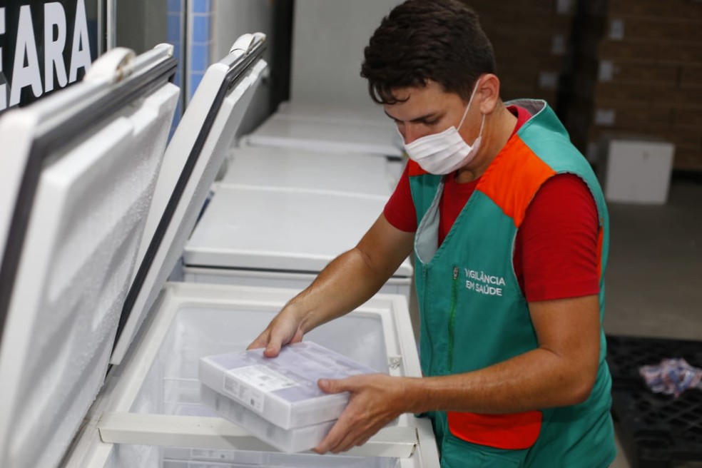 Ceará recebe novo lote de vacinas contra Covid-19 com mais de 345 mil doses. — Foto: Tatiana Fortes/Governo do Ceará/Reprodução
