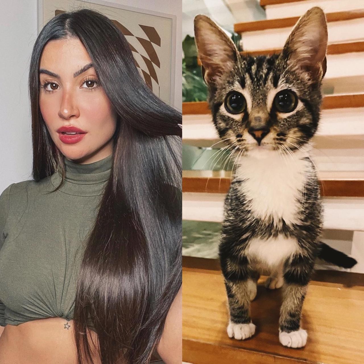 Bianca Andrade adota gatinho e o batiza de Publi Post (Foto: Reprodução/ Instagram )