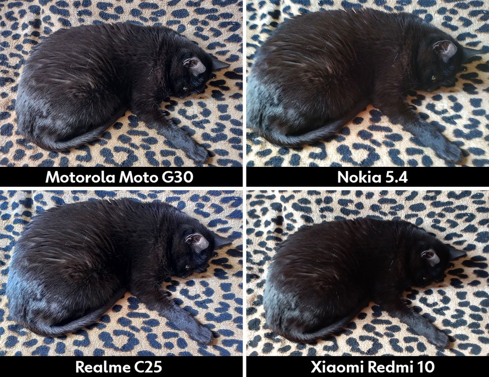 O desempenho dos quatro smartphones é muito parecido, com o Redmi 10 e o Moto G30 mostrando cores menos esbranquiçadas na imagem — Foto: Henrique Martin/g1