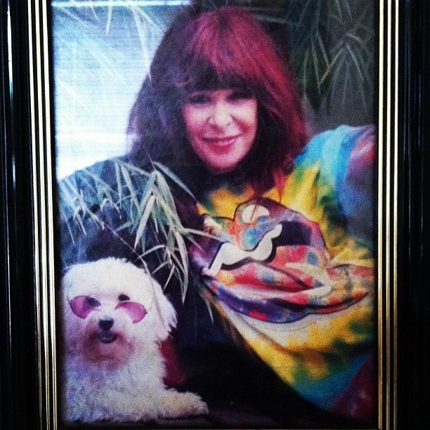 Rita Lee com camisa colorida ao lado do seu cachorro