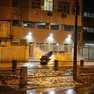 Foto: (undefined / RUDY TRINDAD)