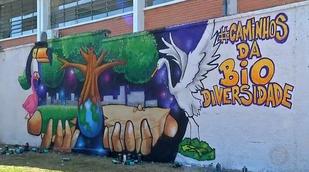 Grafite Sobre Meio Ambiente