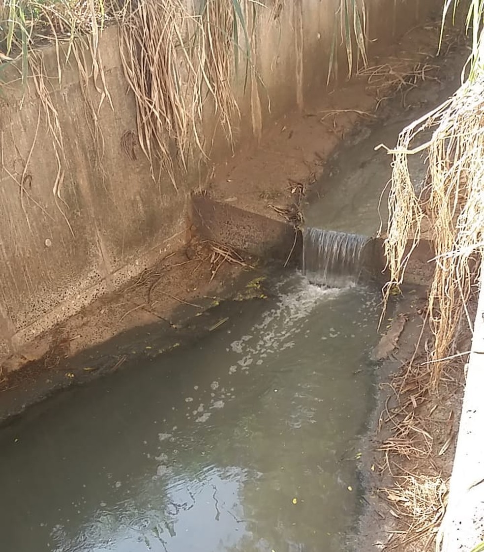 Moradores reclamam de esgoto a céu aberto em parque ecológico de Presidente Prudente (SP) — Foto: Cedida