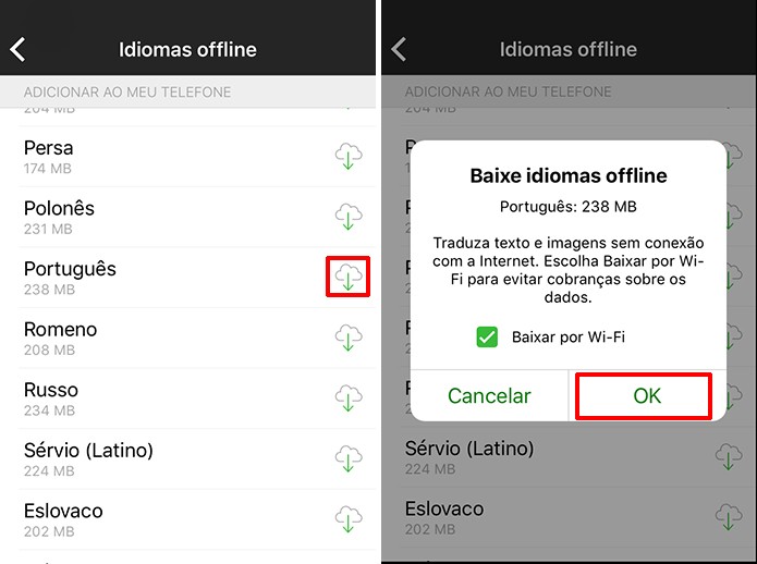 Microsoft Translator recomenda download de idiomas no iPhone via Wi-Fi (Foto: Reprodução/Elson de Souza)