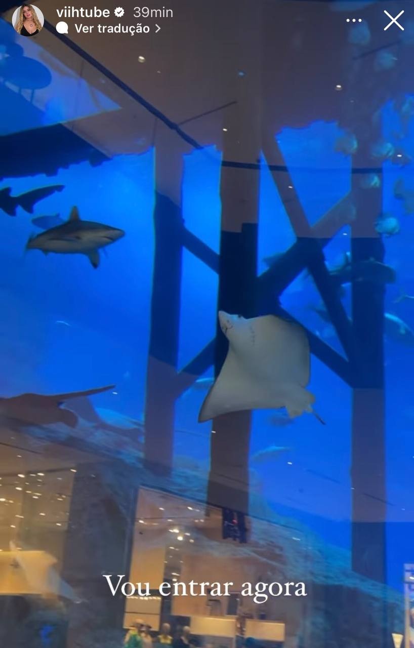Viih Tube no aquário de Dubai (Foto: Reprodução / Instagram)