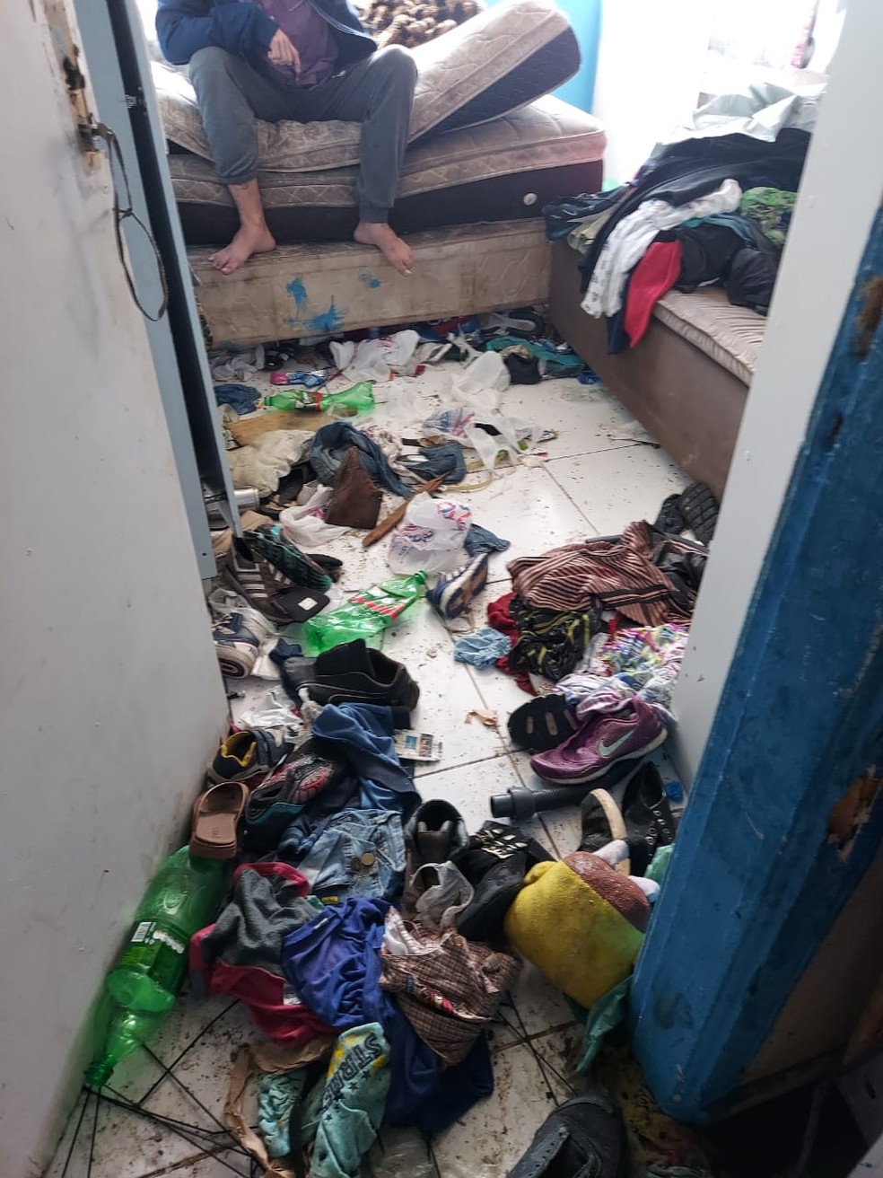 Caso ocorreu em Ponta Grossa, nos Campos Gerais do estado — Foto: Guarda Municipal 