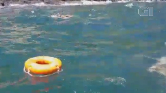 Vídeo mostra resgate de náufragos em ilha com serpentes venenosas em SP
