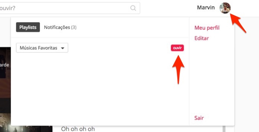 Ação para encontrar uma playlist em um perfil de usuário do site Ouvir Música — Foto: Reprodução/Marvin Costa