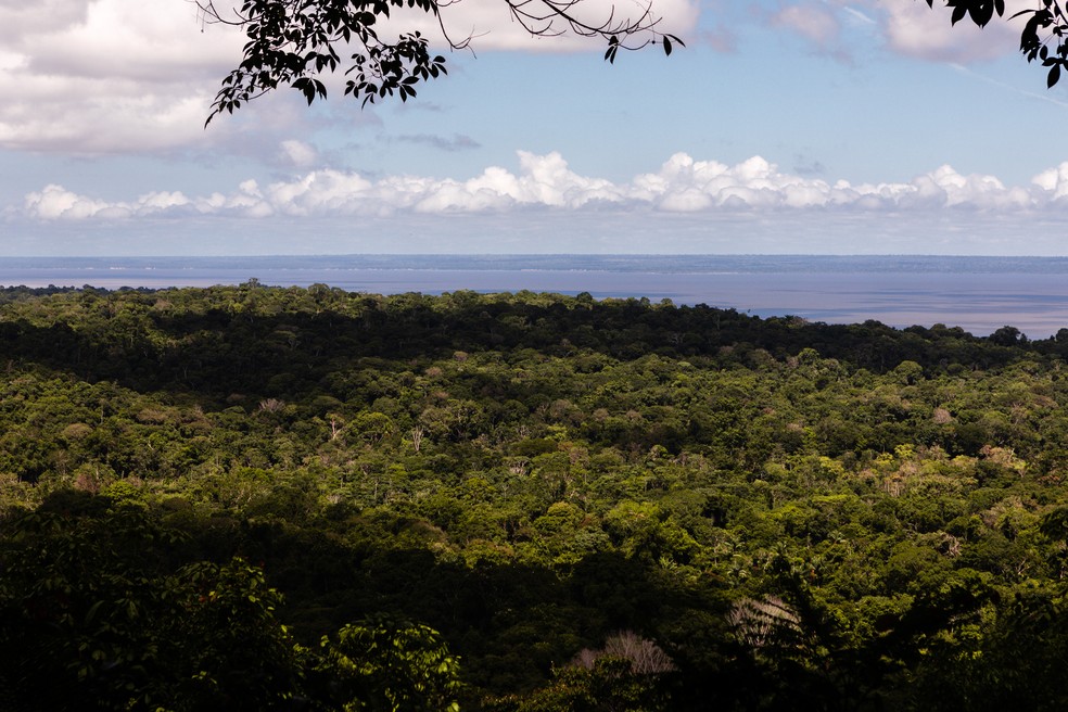 Mirante mostra a Floresta Nacional do Tapajós e o Rio Tapajós ao fundo — Foto: Marcelo Brandt/G1/Arquivo