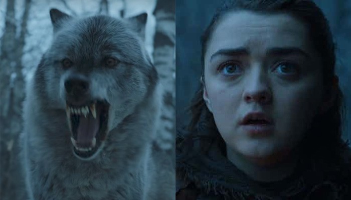 Reencontro de Arya Stark e a loba Nymeria marcou a sétima temporada de Game of Thrones (Foto: Divulgação )