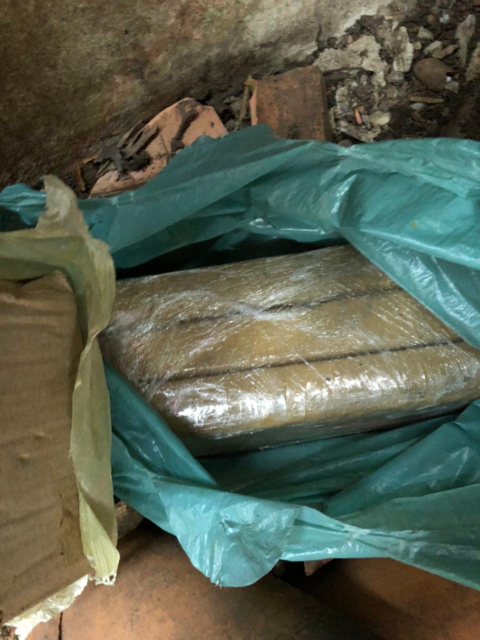 Parte da droga apreendida no bairro Poti Velho, em Teresina — Foto: Divulgação/Depre
