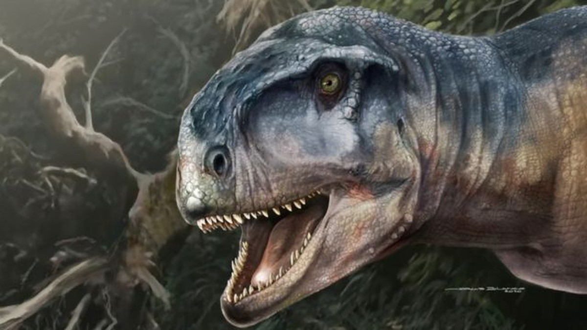 Cráneo de dinosaurio ‘aterrador’ encontrado en la Patagonia |  Ciencia y Salud