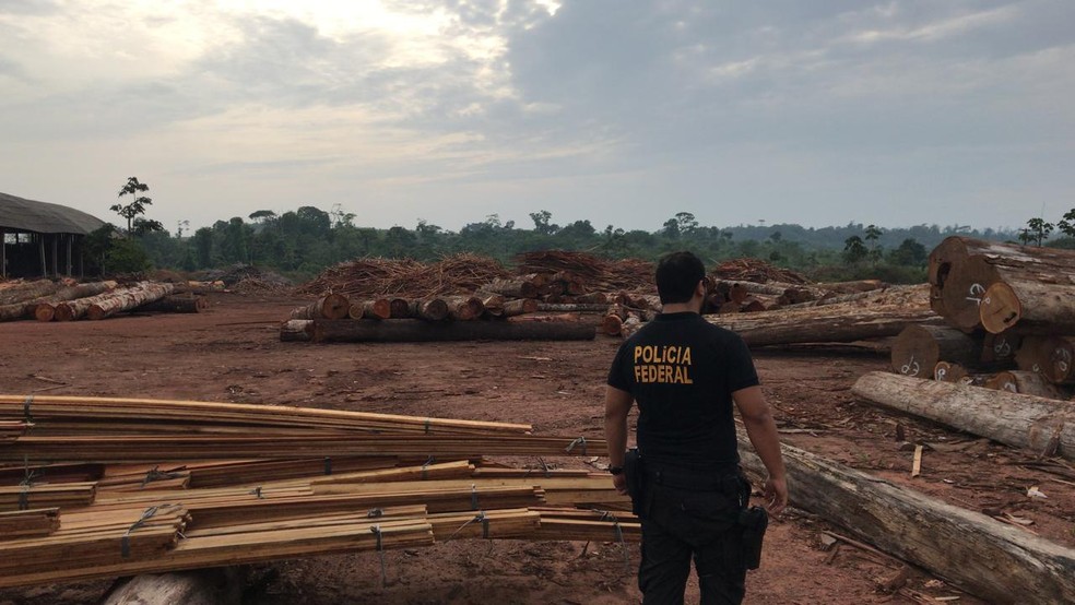 Polícia Federal localizou oito madeireiras que operavam clandestinamente no Pará, durante a Operação Tembém II. — Foto: Divulgação / Polícia Federal