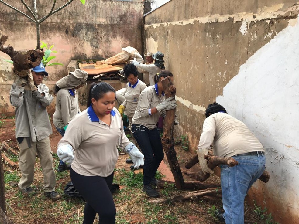 Agentes de sa&uacute;de tiram res&iacute;duos da casa da americana &mdash; Foto: Osvaldo N&oacute;brega/TV Morena