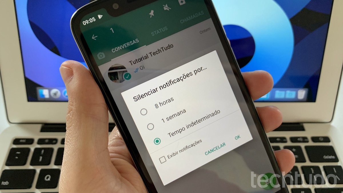 Whatsapp Beta Permite Silenciar Grupos Para Sempre Saiba Como Techtudo Astratu 0842