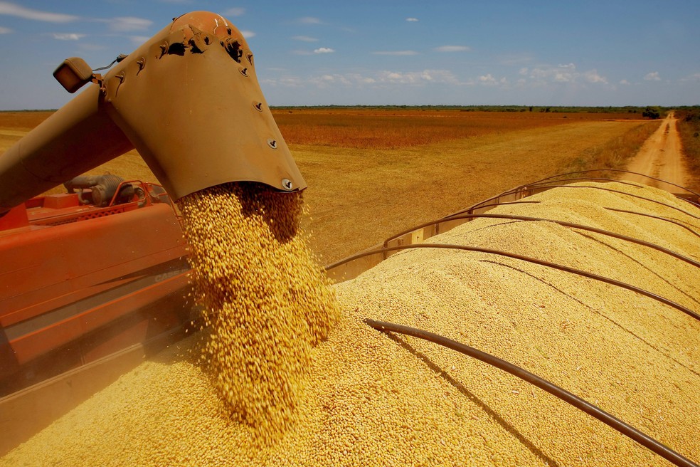 Safra de grãos deve ficar mais de 9% menor em 2018. (Foto: Celso Junior/Estadão Conteúdo)