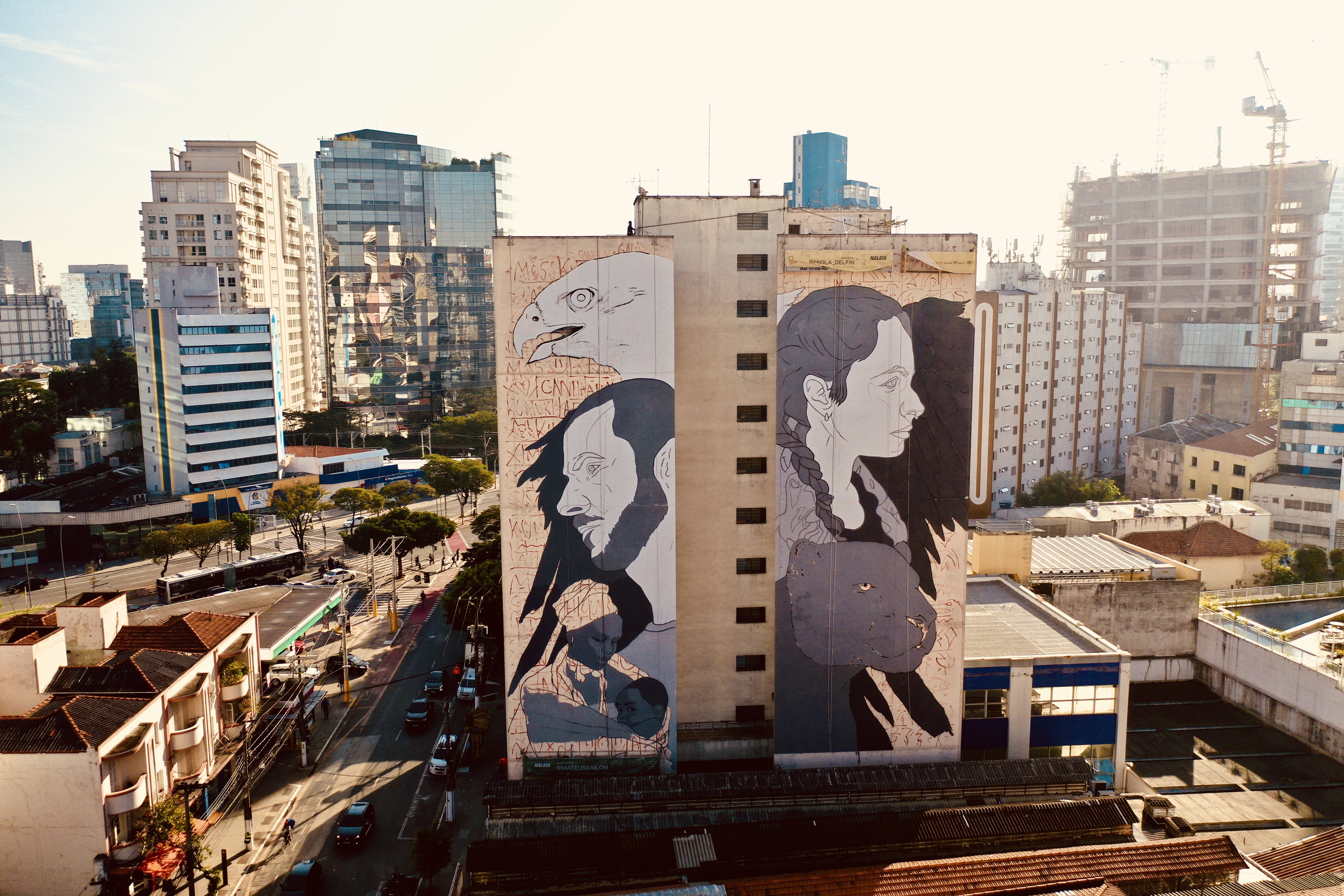 Artistas criam o maior museu brasileiro de grafite a céu aberto (Foto: Divulgação)