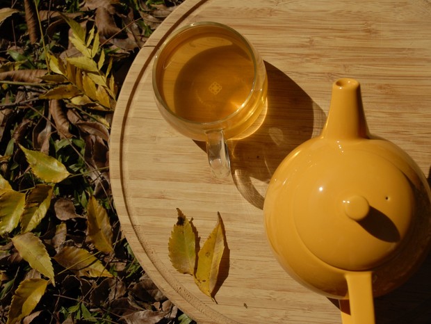 Chá: especialista explica benefícios e ensina como escolher ervas para a bebida (Foto: Divulgação)