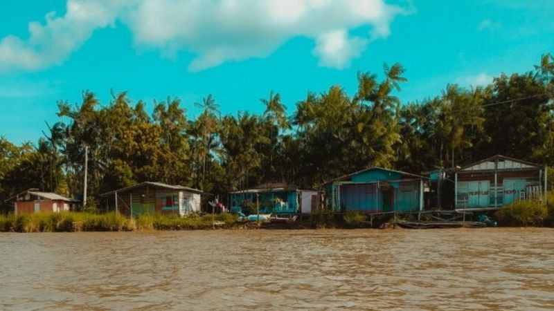 Casas de ribeirinhos no arquipélago do Bailique, na foz do rio Amazonas (Foto: GOVERNO DO AMAPÁ via BBC News)