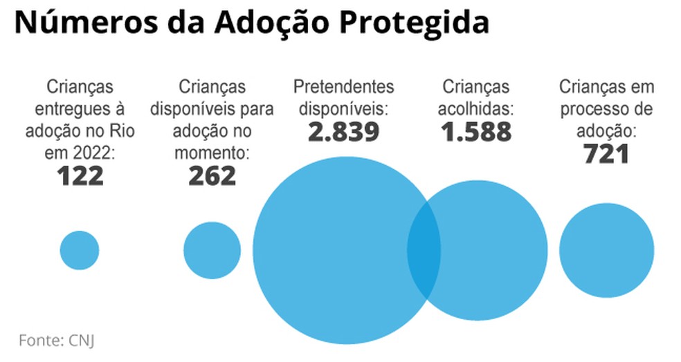 Os números da adoção protegida — Foto: Editoria de Arte