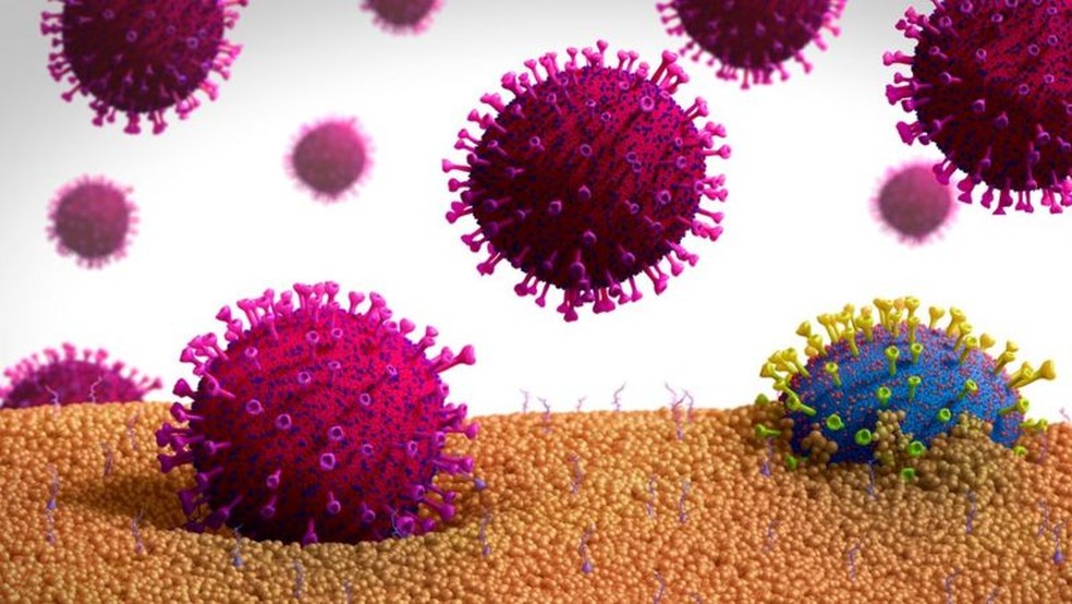 Pesquisadores das faculdades de medicina de Harvard e Emory foram até o laboratório para observar como coronavírus interagiu com antígenos de diferentes tipos sanguíneos — Foto: Science Photo Library