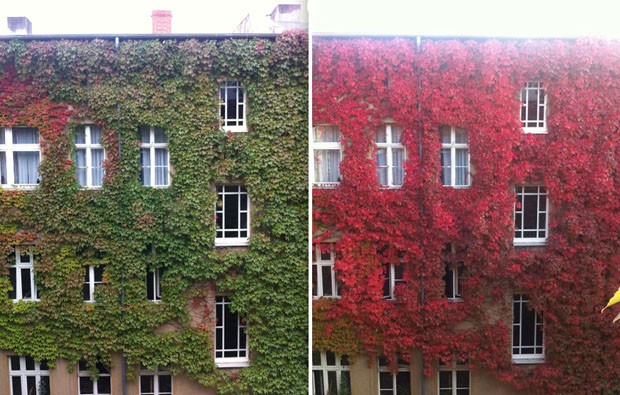 Mudanças do Outono (Foto: imgur.com)
