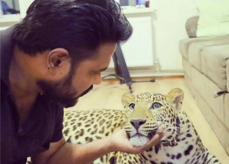 Patil diz que não voltará à Índia sem seus animais de estimação (Foto: GIRIKUMAR PATIL via BBC)