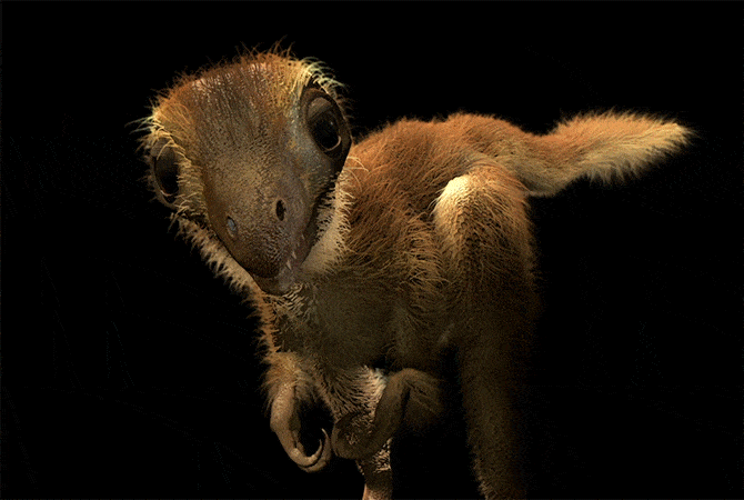 Representação de um filhote de Tiranossauro Rex (Foto: AMNH/R. Peterson)