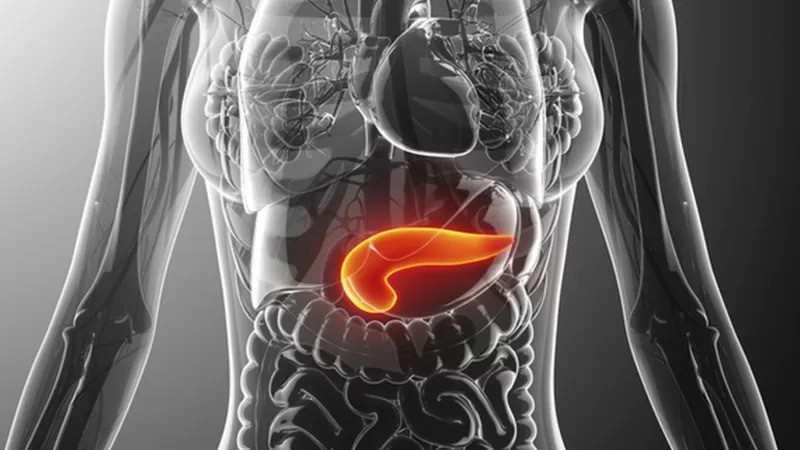 O pâncreas (destacado em laranja) é uma glândula responsável pela fabricação do hormônio insulina (Foto: Getty Images via BBC News)