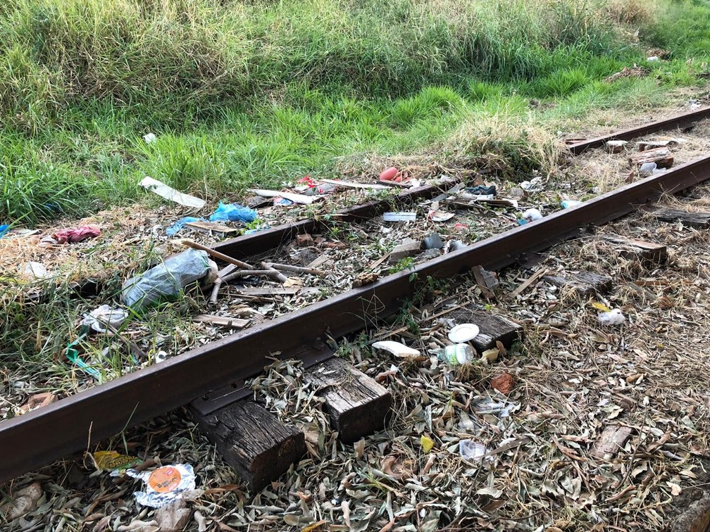 Ferrovia está abandonada na região de Presidente Prudente — Foto: Luís Augusto Pires Batista/TV Fronteira