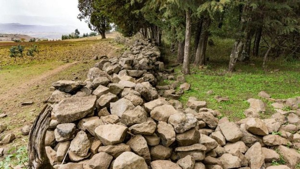 Um muro de pedra marca a fronteira entre os campos dos agricultores e as florestas sagradas da Etiópia — Foto: Sarah Hewitt