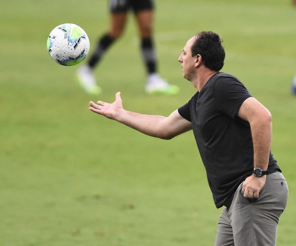 Rogério Ceni em Botafogo x Flamengo — Foto: André Durão