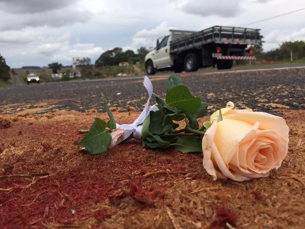 Flor foi deixada em rodovia em homenagem ao jovem (Foto: Ewerton Vignolli / TV TEM)