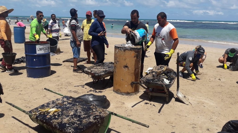Voluntários enchem tonéis e carrinhos de mão com óleo retirado das praias de Ipojuca — Foto: Luna Markman/TV Globo