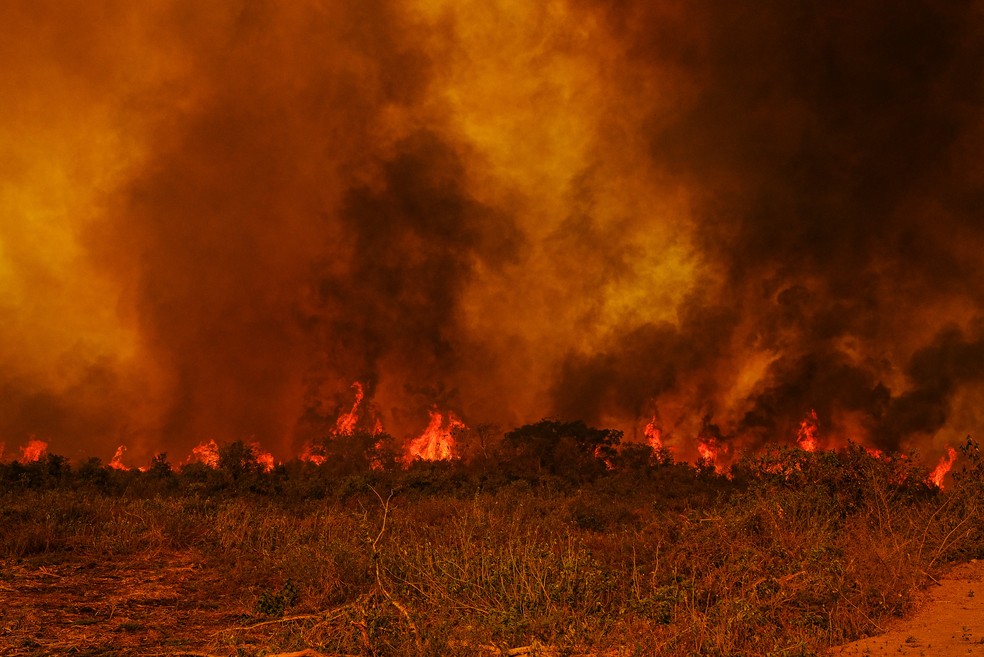 Pantanal está sendo destruído pelo fogo — Foto: Mayke Toscano - Secom - MT