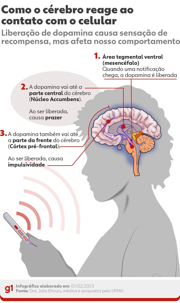 Como o cérebro reage ao contato com o celular — Foto: Wagner Magalhães/Arte g1