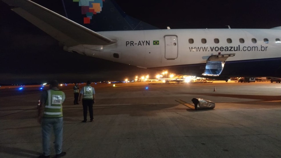 Avião da Azul ficou danificado após colisão no Aeroporto de Viracopos — Foto: Divulgação/Aeroflap