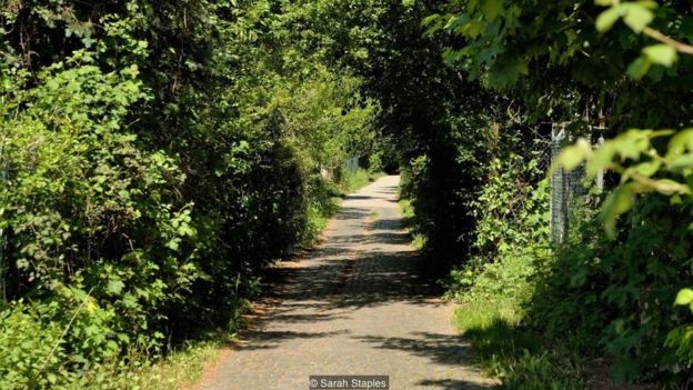 A Bertha Benz Memorial Route segue o curso que a pioneira percorreu em 1888, na primeira viagem de longa distância em um carro a gasolina (Foto: Alamy via BBC News) A Bertha Benz Memorial Route segue o curso que a pioneira percorreu em 1888, na primeira viagem de longa distância em um carro a gasolina (Foto: Alamy via BBC News)