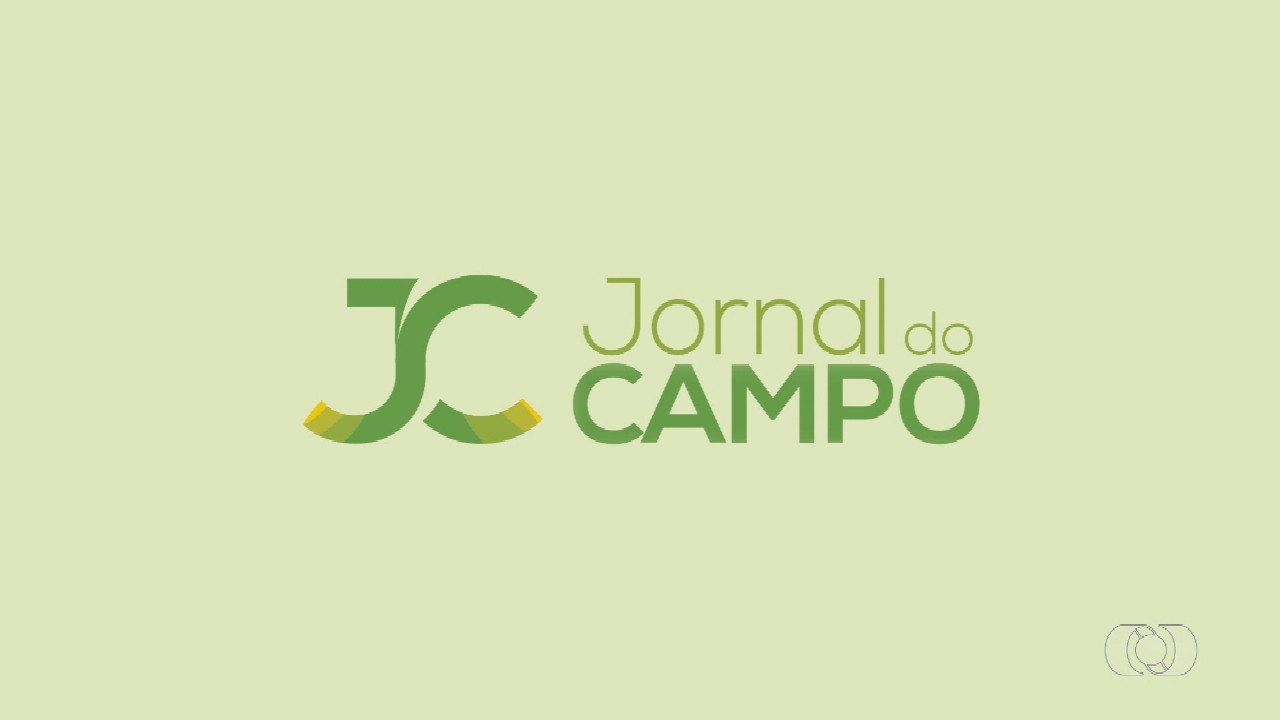 VÍDEOS: Jornal do Campo de domingo, 3 de julho de 2022