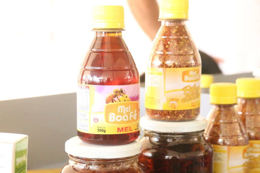 Governo regulamenta lei da produção de mel de abelhas sem ferrão no RN — Foto: Divulgação/Assecom