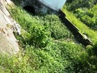 Canal de São Vicente é coberto por vegetação e incomoda moradores