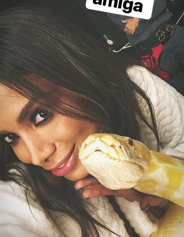 Anitta com cobra (Foto: Reprodução/Instagram)
