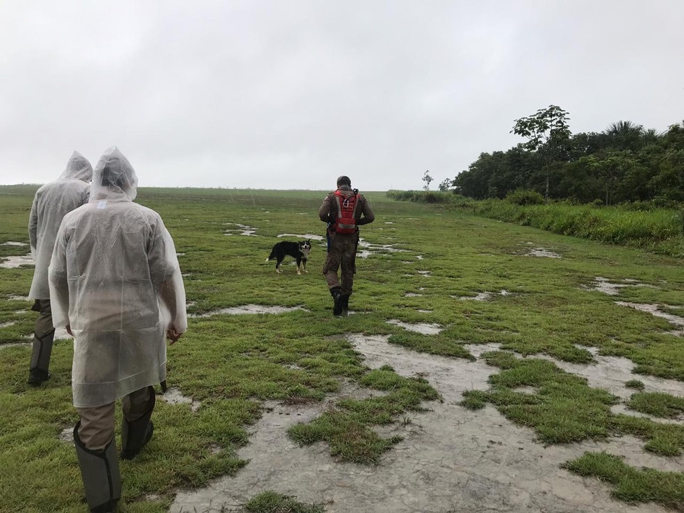 Bombeiros e cão farejador fazem buscas por Heitor Maciel dos Santos na região da chácara — Foto: Corpo de Bombeiros