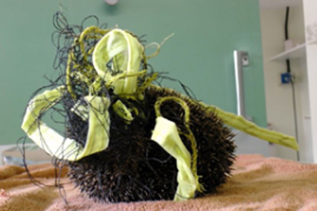 Ouriço foi resgatado após ser encontrado preso em uma rede de badminton (Foto: Divulgação/RSPCA)