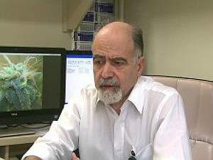 Professor Antônio Waldo Zuardi coordenará o Centro de Pesquisas em Canabinoides (Foto: Divulgação/USP)