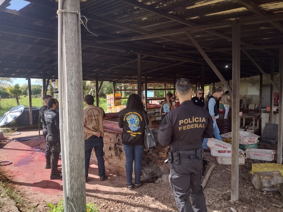 Operação em frigorífico clandestino em Campos envolveu equipes da Polícia Federal, Ministério da Agricultura, Ministério do Trabalho e Vigilância Sanitária  — Foto: Polícia Federal