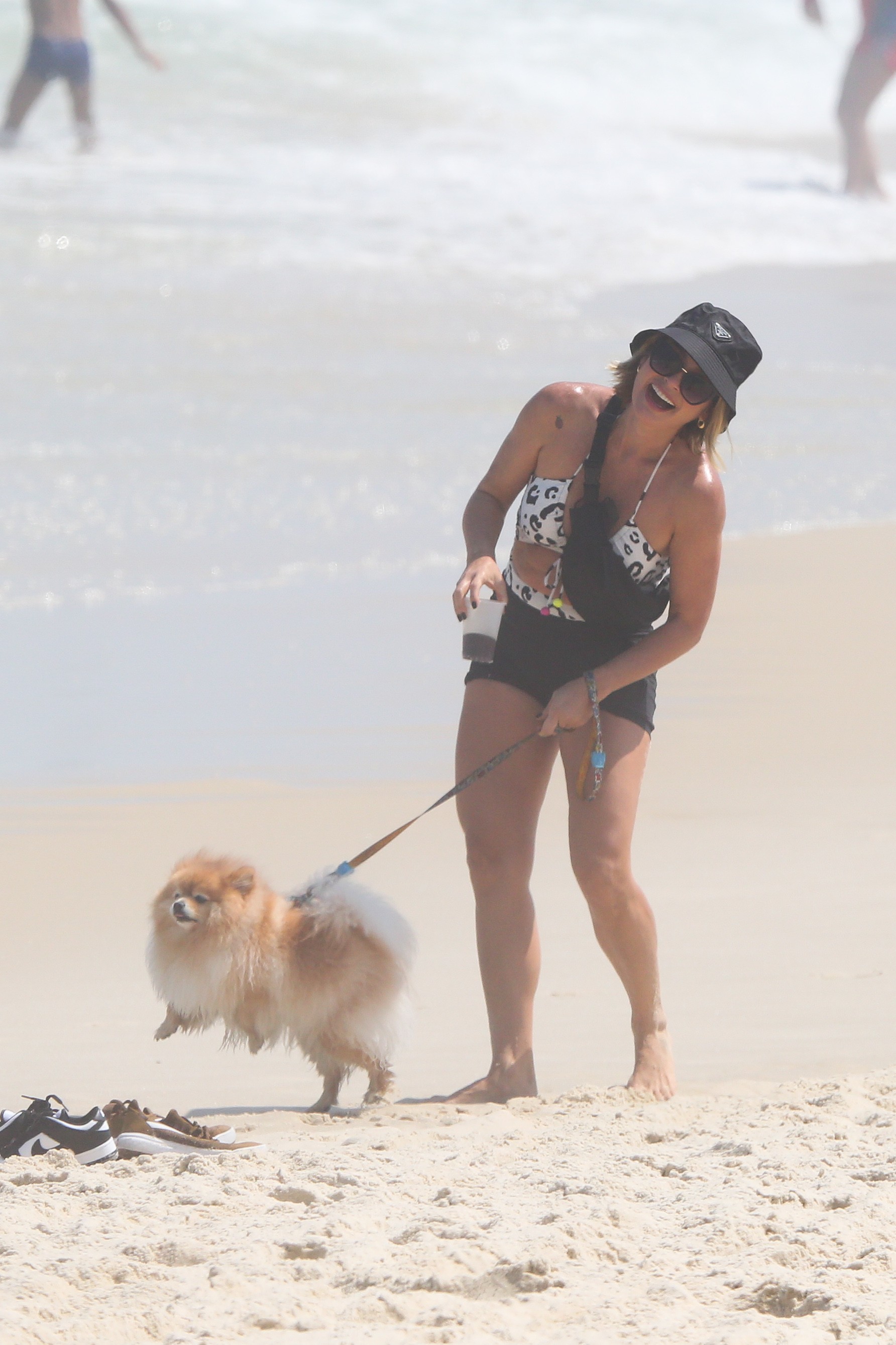 Flavia Alessandra passeia com pets (Foto: AgNews)