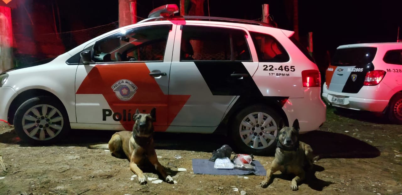 Cães da PM encontram drogas escondidas perto de galinheiro em casa em Guararema