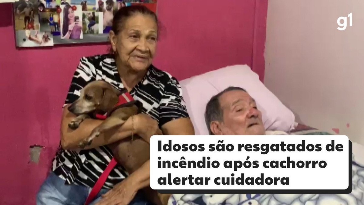 Casal de idosos é resgatado de incêndio após alertar cuidadora na Bahia: ‘Bob foi um herói’ |  Bahia