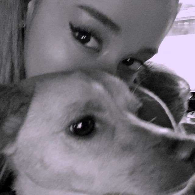 Cãozinho de Ariana Grande estrela campanha de grife de bolsas e